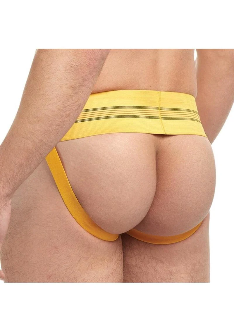 Goal Line Class Jockstrap - Image 30
