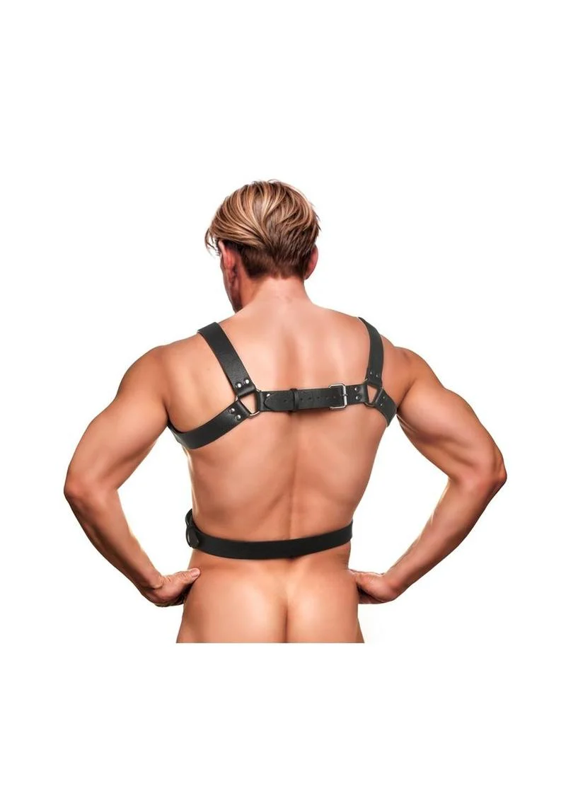 Strict 6 O-Ring Chest Harness - Image 4